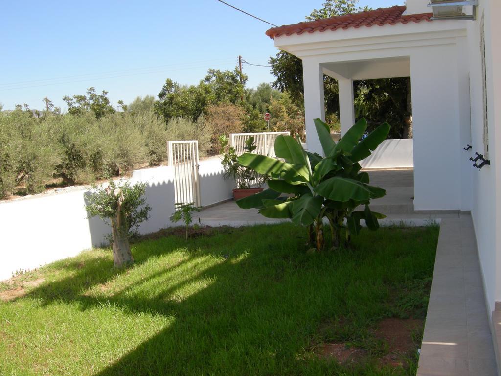 Villa Despoina Paphos Exterior foto