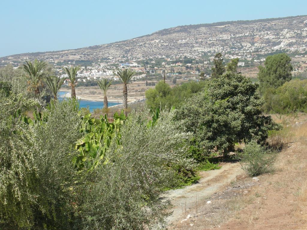 Villa Despoina Paphos Exterior foto