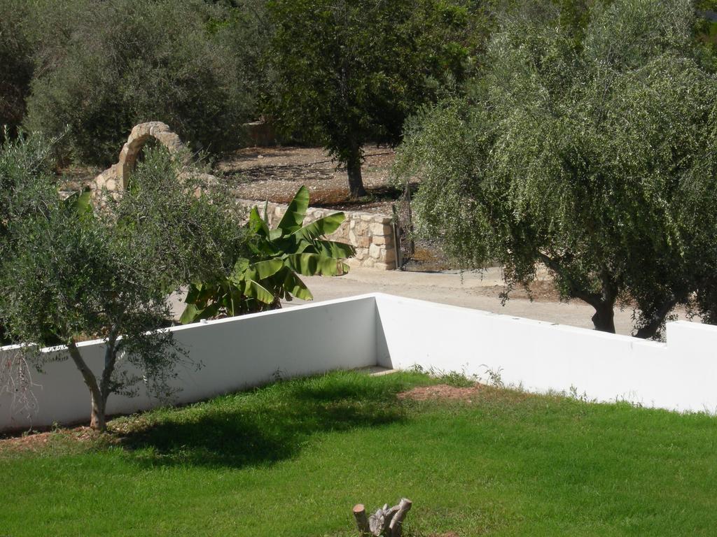 Villa Despoina Paphos Exterior foto