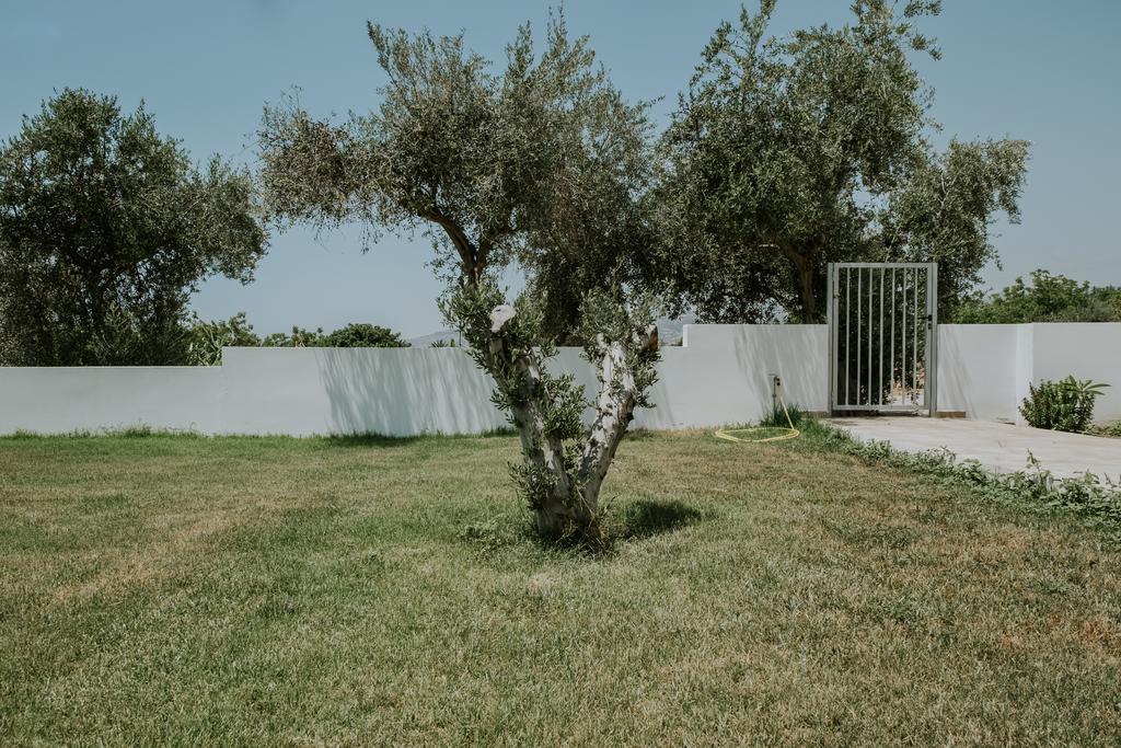 Villa Despoina Paphos Exterior foto